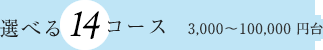 選べる14コース 3,000～100,000円台