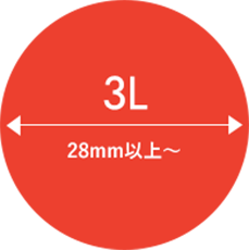 3L 28mm以上〜