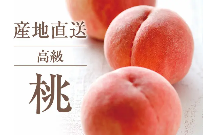 産地直送 高級 桃