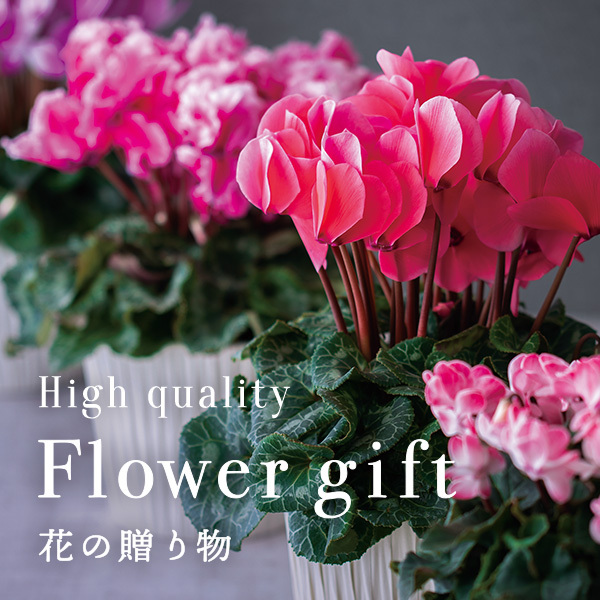 High quality Flower Gift 花の贈り物