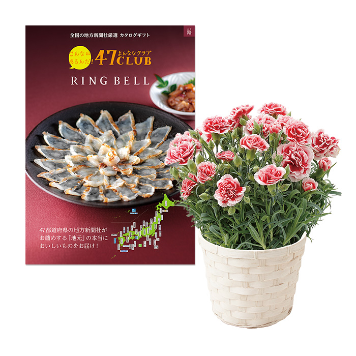 母の日専用ラッピング カーネーション いちごホイップ ４７ｃｌｕｂ リンベル 路 カタログギフトのリンベル 公式