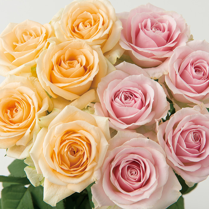 日本の極み　バラ花束　ピンク＋アプリコット（各１０本）２０本セット