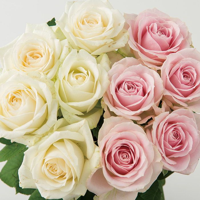 日本の極み　バラ花束　ピンク＋ホワイト（各１０本）２０本セット