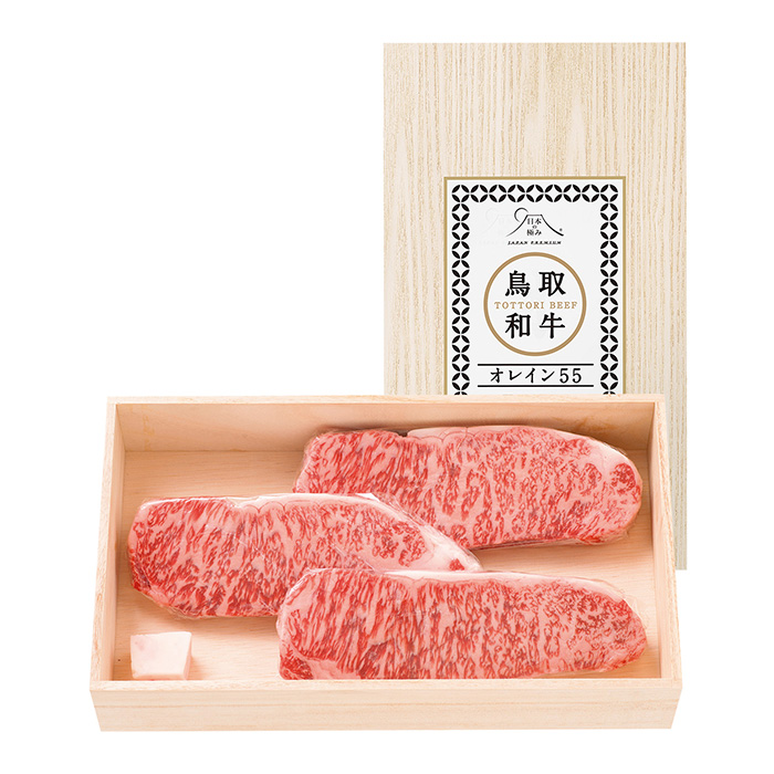 鳥取県 鳥取和牛オレイン５５ サーロインステーキ 肉質等級：５等級（Ｂ．Ｍ．Ｓ．Ｎｏ．８） ６００ｇ