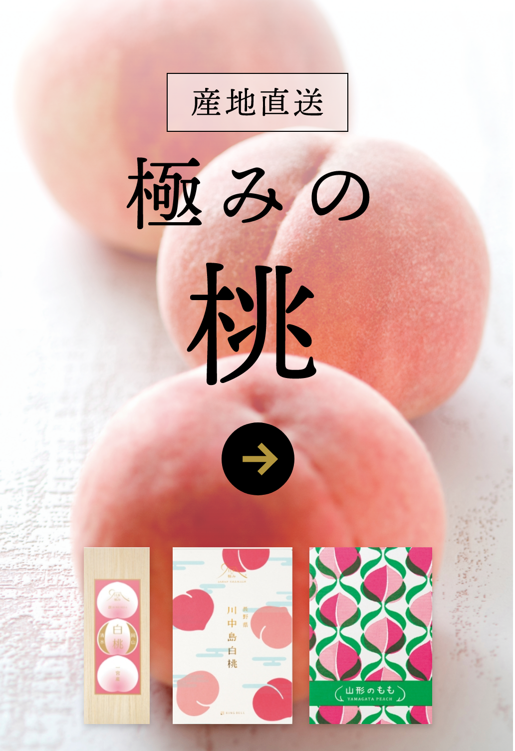 産地直送 高級 桃