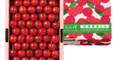 紅秀峰 700g［置並べ］