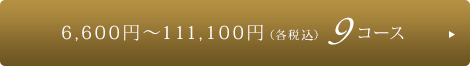 6,600�ߡ�111,100�ߡʳ��ǹ��� 9������